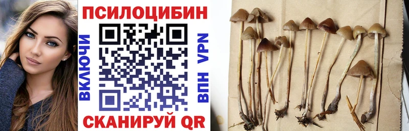 Галлюциногенные грибы Psilocybine cubensis Джанкой