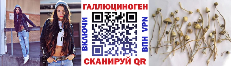Псилоцибиновые грибы Cubensis  Джанкой 