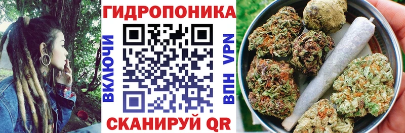 Конопля семена  Джанкой 